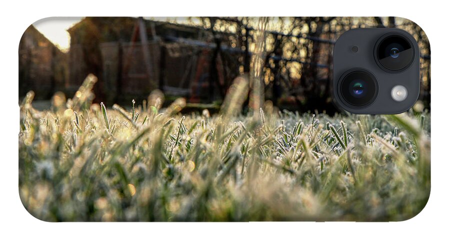 Environment iPhone 14 Case featuring the photograph A stem of grass with sunrise. A wonderful story of beauty by Vaclav Sonnek