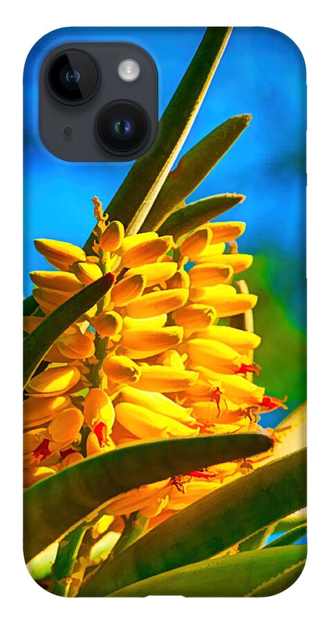 Cactus iPhone Case featuring the photograph A study in yellow, green and blue - cactus flower near Phoenix AZ by Frank Lee