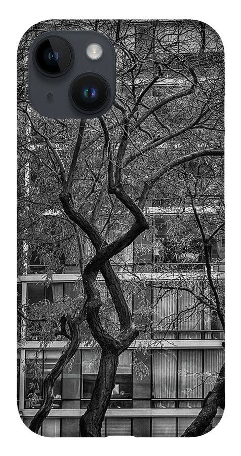Tree iPhone 14 Case featuring the photograph A tree in New York City #1 by Alan Goldberg