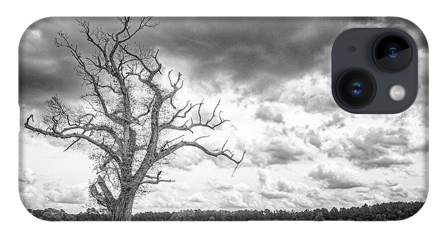 Tree iPhone 14 Case featuring the photograph A Tree With Great Character - Eastern North Carolina by Bob Decker