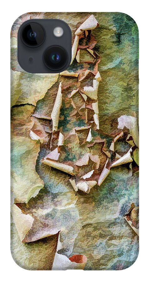 Paperbark Maple iPhone 14 Case featuring the photograph Abstract Art In The Tree Trunk by Gary Slawsky