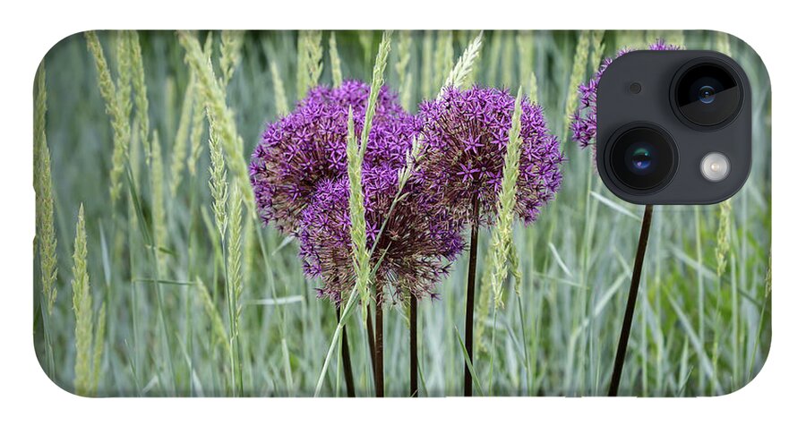 Dow Gardens iPhone 14 Case featuring the photograph Allium in the Weeds by Robert Carter