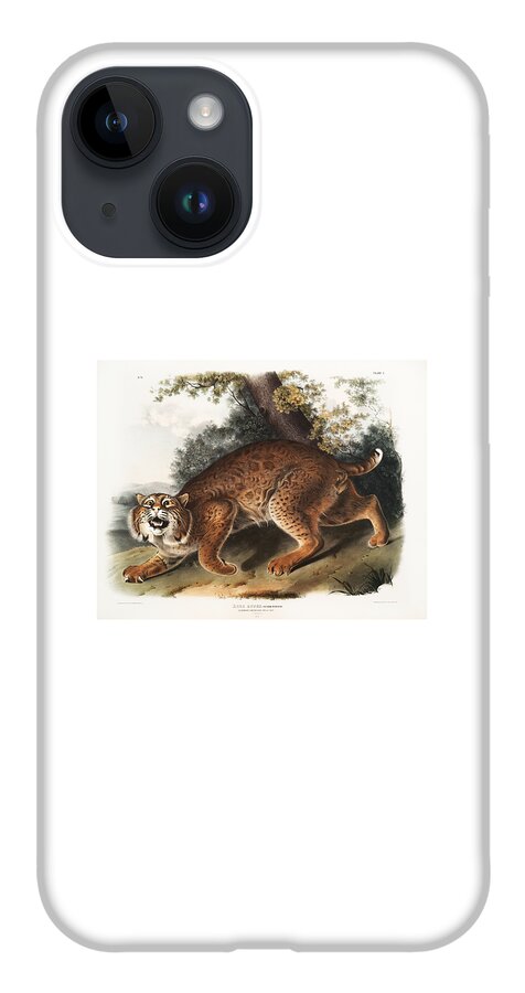 American Wildcat iPhone 14 Case featuring the mixed media American Wildcat, Lynx. John Woodhouse Audubon by World Art Collective