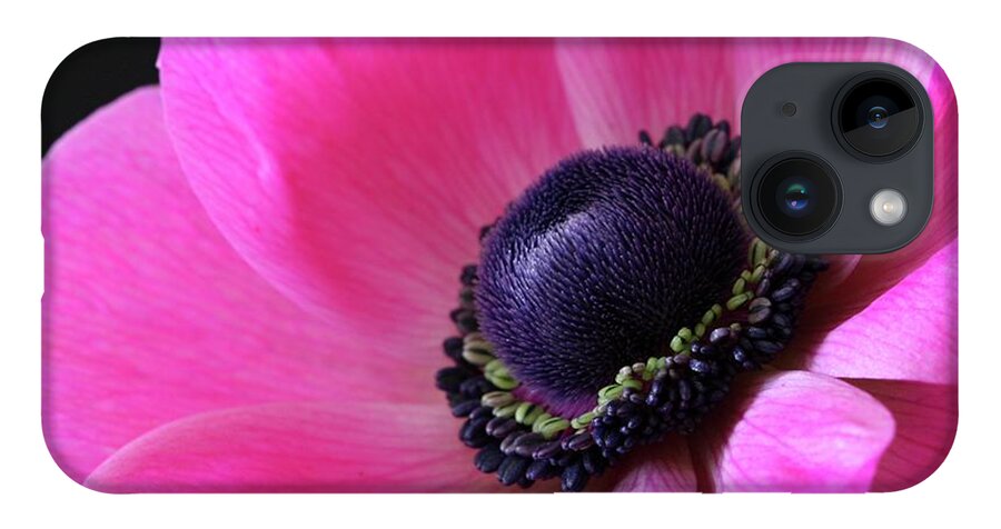 Macro iPhone 14 Case featuring the photograph Anemone Pink by Julie Powell