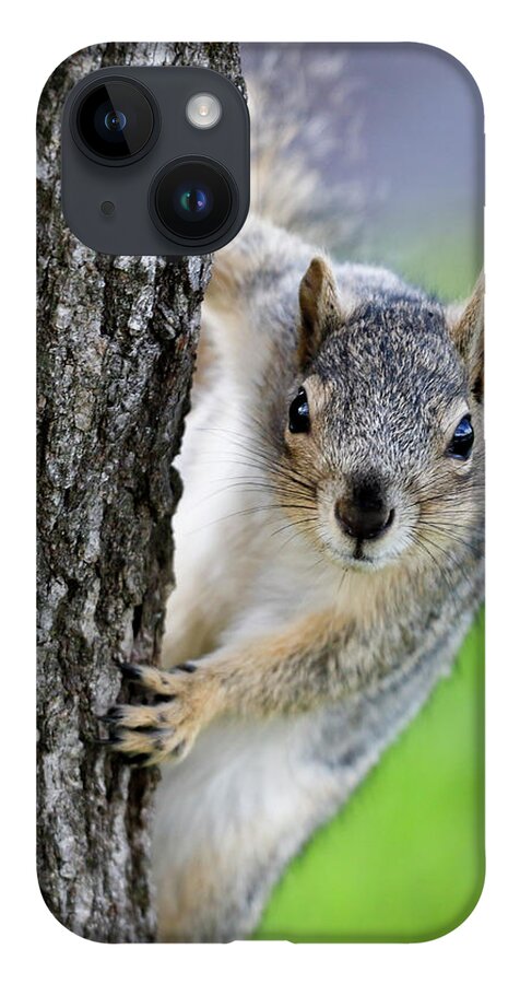 Squirrel iPhone 14 Case featuring the photograph Are you looking at me? by Gary Geddes