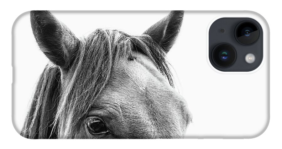 Horse iPhone Case featuring the photograph Arlo II - Horse Art by Lisa Saint