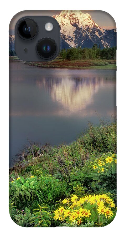 Dave Welling iPhone Case featuring the photograph Arrowleaf Balsamrood Mount Moran Grand Tetons Np by Dave Welling