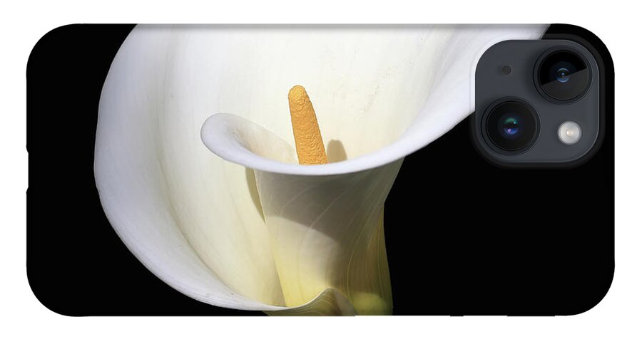 Arum Lily iPhone 14 Case featuring the photograph Arum Lily by Tony Mills
