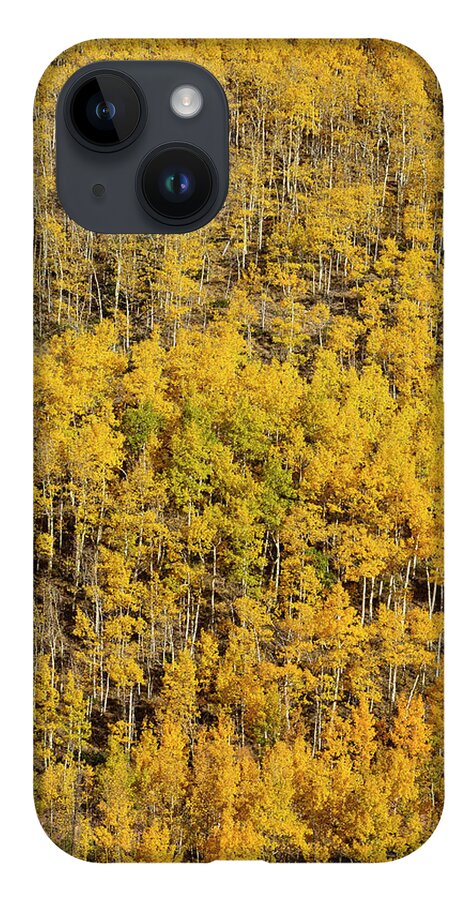 Aspen iPhone Case featuring the photograph Aspen Texture by Aaron Spong
