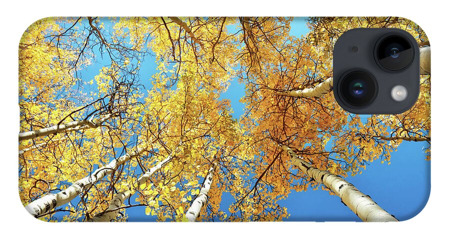 Fall Colors iPhone 14 Case featuring the photograph Aspens by Rick Perkins