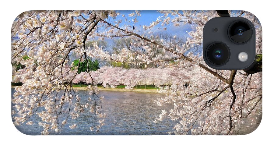 Cherry Blossom Festival iPhone Case featuring the photograph At Peak Bloom by Lois Bryan