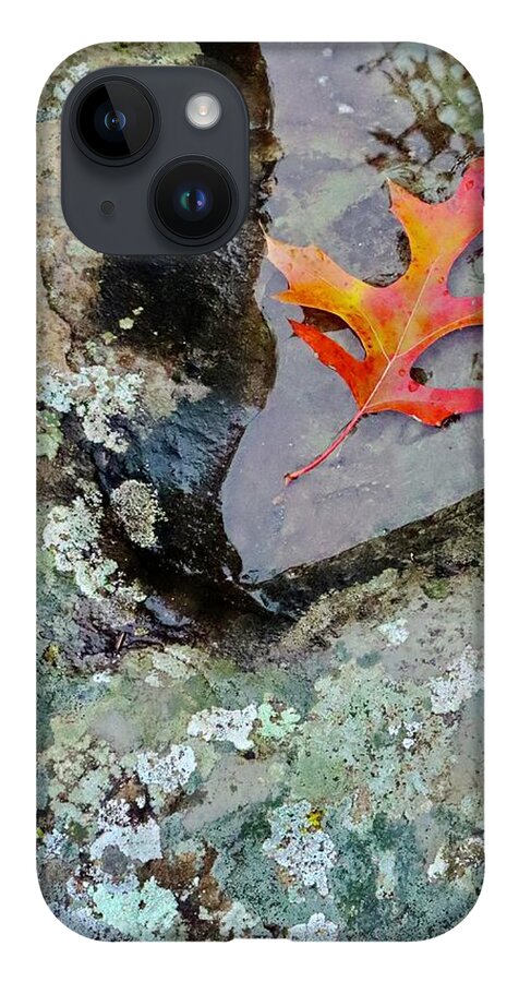Autumn iPhone Case featuring the photograph Autumn Colors by Sarah Lilja