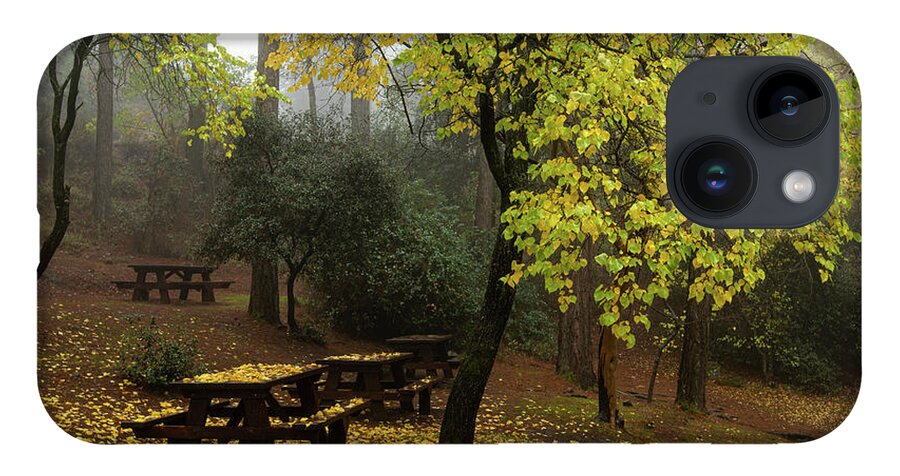 Autumn iPhone Case featuring the photograph Autumn landscape with trees and yellow leaves on the ground after rain by Michalakis Ppalis