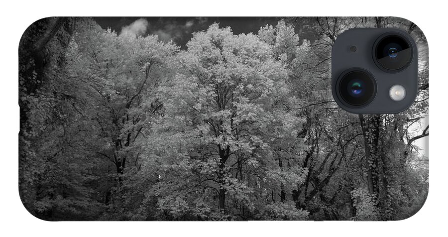 Infrared iPhone 14 Case featuring the photograph Autumn trees in black and white by Alan Goldberg