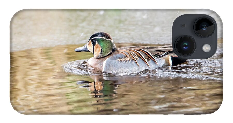 Baikal Teal iPhone Case featuring the photograph Baikal Teal, a beautiful and rare visitor in Sweden by Torbjorn Swenelius