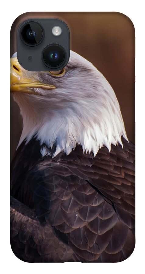 Bald Eagle iPhone 14 Case featuring the photograph Bald Eagle 2 by Flees Photos