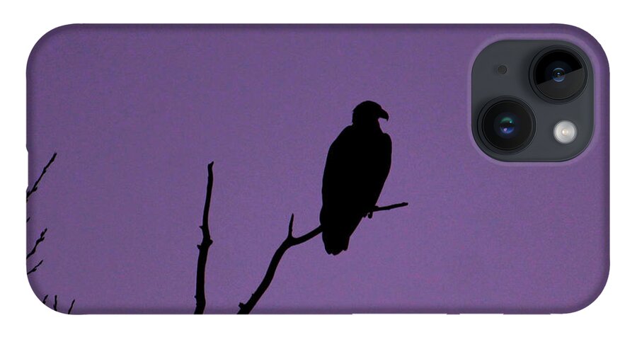 Eagle iPhone 14 Case featuring the photograph Bald Eagle in Silhouette by Mary Walchuck