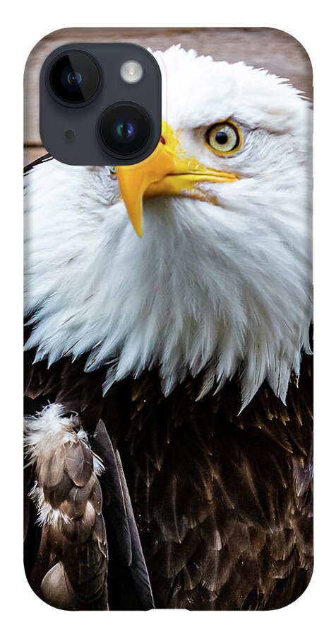 Bald iPhone 14 Case featuring the digital art Bald Eagle Ketchikan by SnapHappy Photos