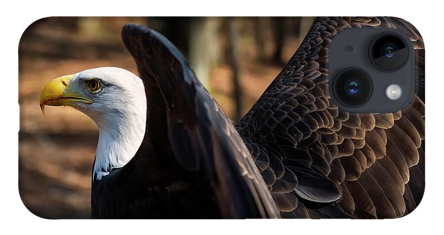 Bald Eagle iPhone 14 Case featuring the photograph Bald eagle preparing for flight by Flees Photos