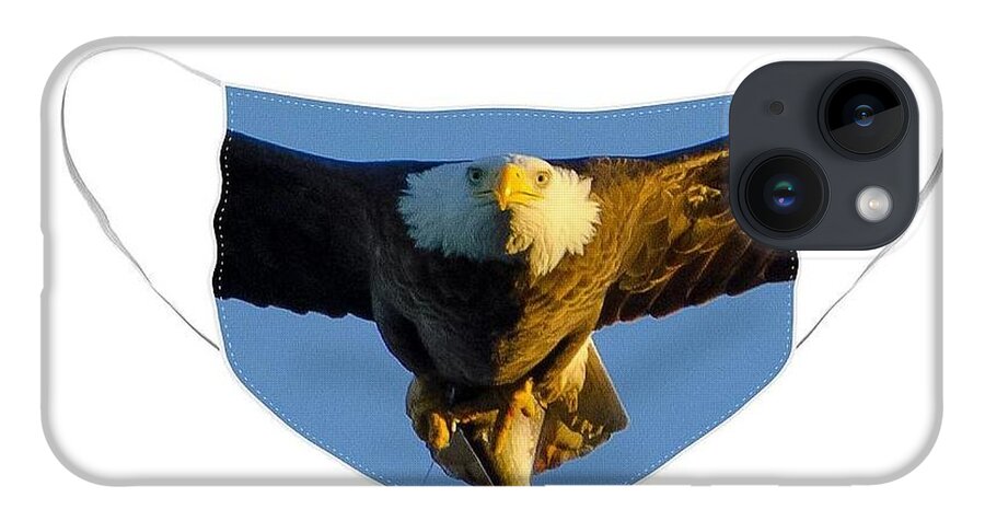 North American Bald Eagle iPhone 14 Case featuring the photograph Bald Eagle Face Mask with Fish by Jeff at JSJ Photography