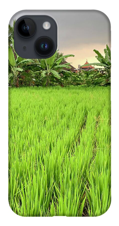 Bali iPhone 14 Case featuring the photograph Bali Fields by Wendy Golden