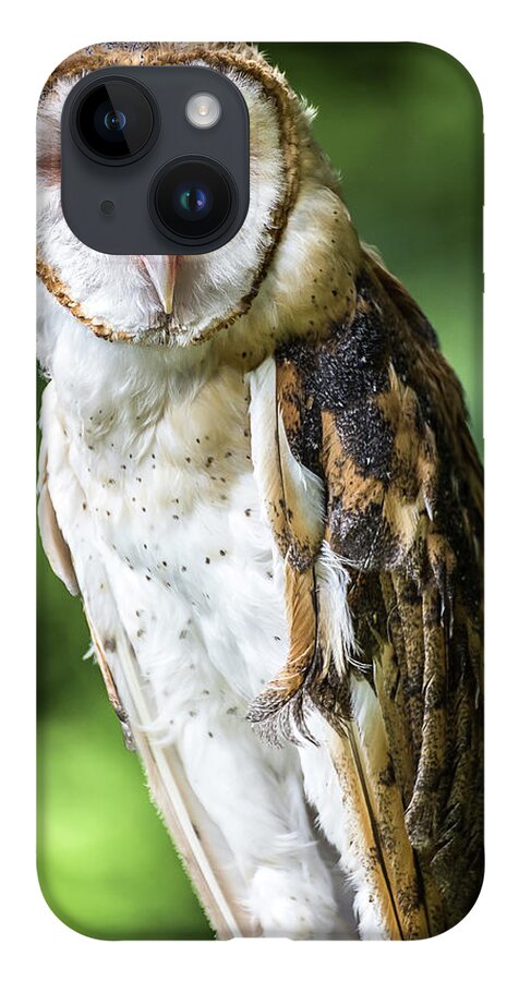 Raptors Owl Barn Owl iPhone 14 Case featuring the photograph Barn owl by Robert Miller