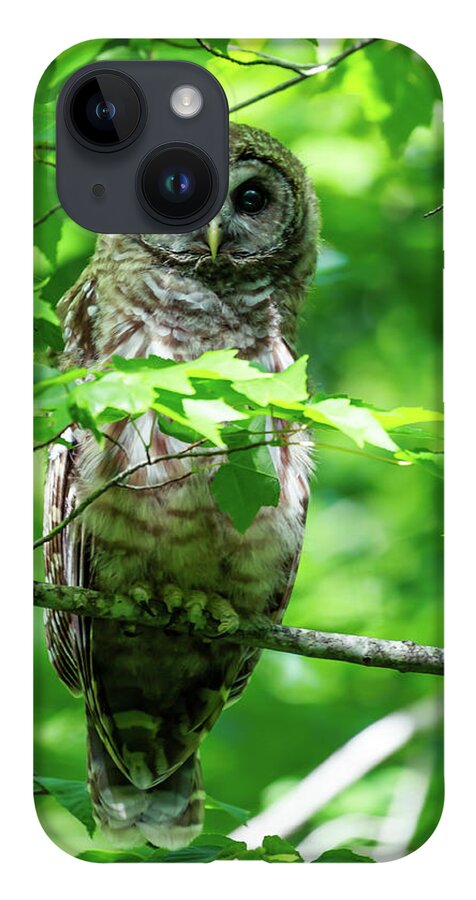 Wildlife iPhone 14 Case featuring the photograph Barred Owl by David Lee