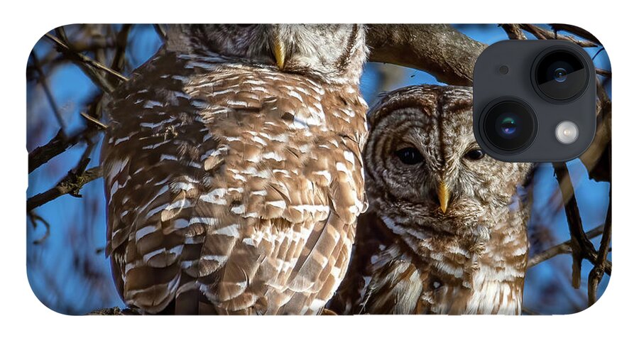 Animal iPhone 14 Case featuring the photograph Barred Owl Pair by Brian Shoemaker