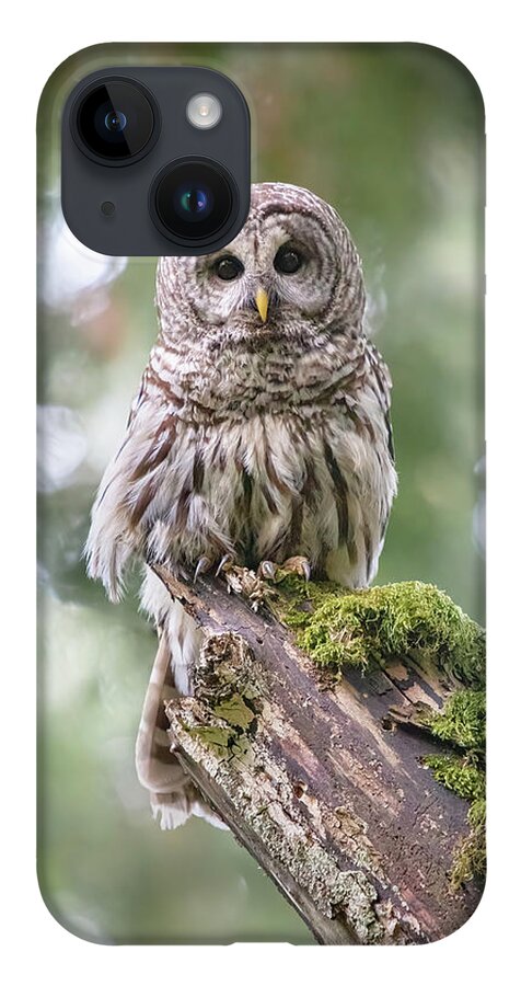 Barred Owl iPhone 14 Case featuring the photograph Barred Owl Stare by Michael Rauwolf