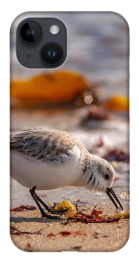 Shore Bird iPhone 14 Case featuring the photograph Beach Salad by Linda Bonaccorsi