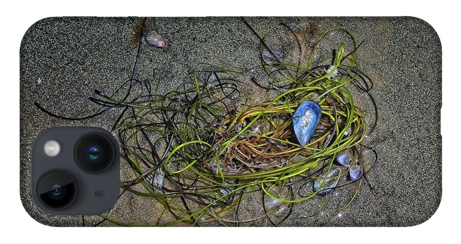 Marine iPhone 14 Case featuring the photograph Beach Still Life #1 by Loren Gilbert
