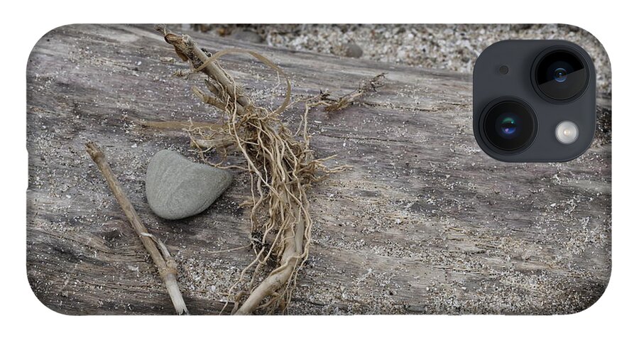 Driftwood iPhone 14 Case featuring the photograph Beach Stone on Driftwood by Valerie Collins