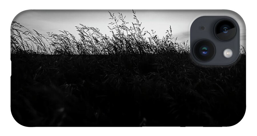 Sand Dunes iPhone 14 Case featuring the photograph Beachgrass Sunset Black and White by Pelo Blanco Photo