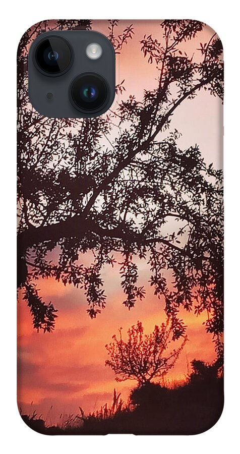 Colette iPhone Case featuring the photograph Beautiful evening in Spain by Colette V Hera Guggenheim