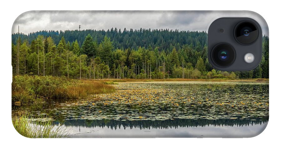 Alex Lyubar iPhone 14 Case featuring the photograph Beautiful Forest Lake by Alex Lyubar