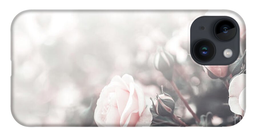 Roses iPhone 14 Case featuring the photograph Beautiful pastel roses in garden by Jelena Jovanovic
