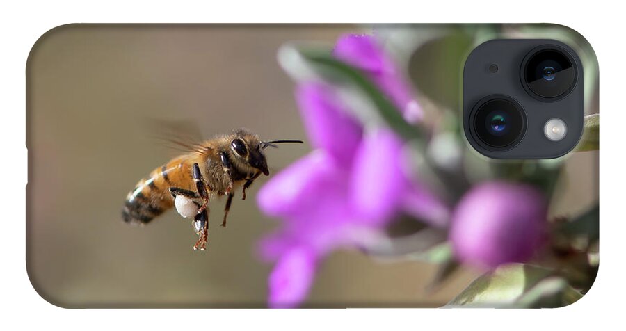 Bee iPhone 14 Case featuring the photograph Bee and Flower by Ron Woodbury