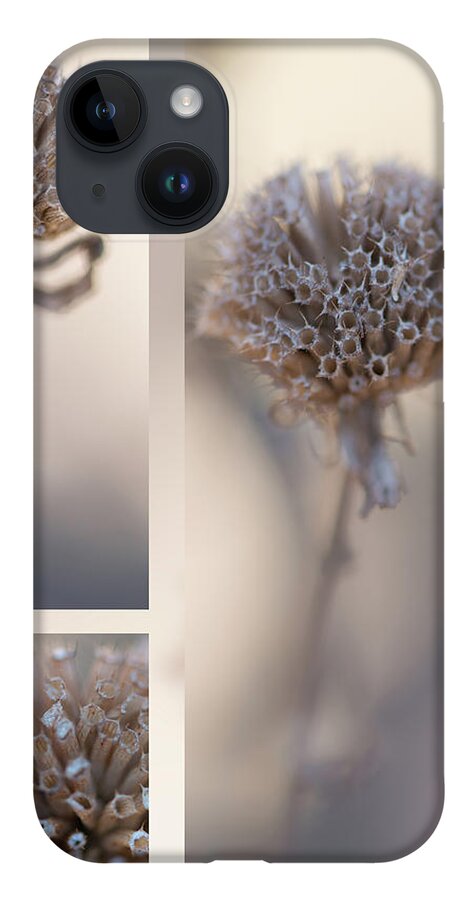 Taupe iPhone 14 Case featuring the photograph Bee Balm by Karen Rispin