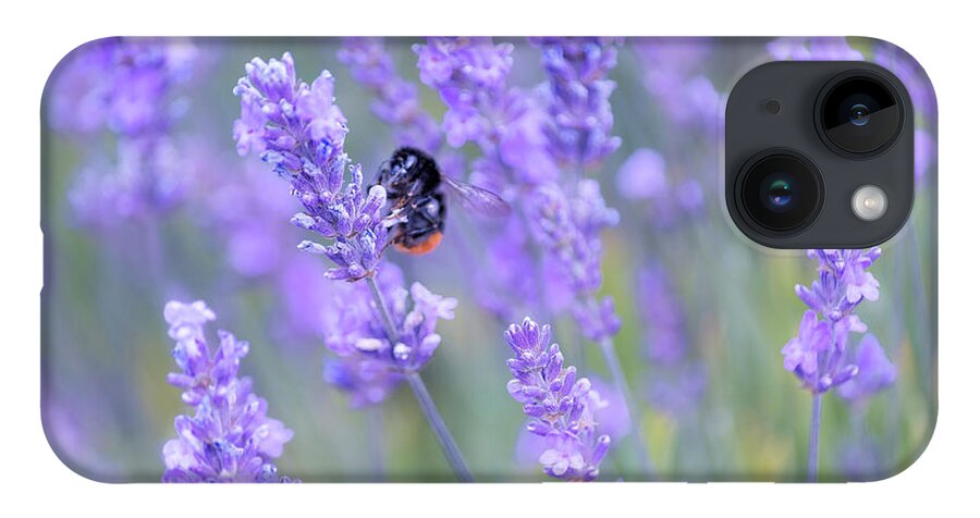Lavender iPhone 14 Case featuring the photograph Bee buzzing in the lavender by Andrew Lalchan