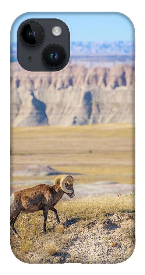 America iPhone 14 Case featuring the photograph Big Horn Posing in the Badlands by Erin K Images