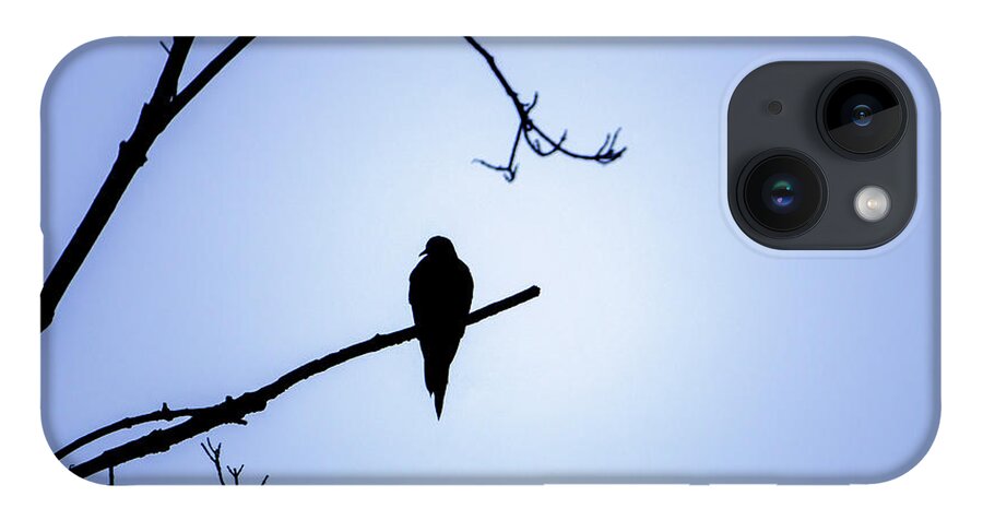 Bird iPhone 14 Case featuring the photograph Mourning Dove Silhouette - Blue Skies by Jason Fink