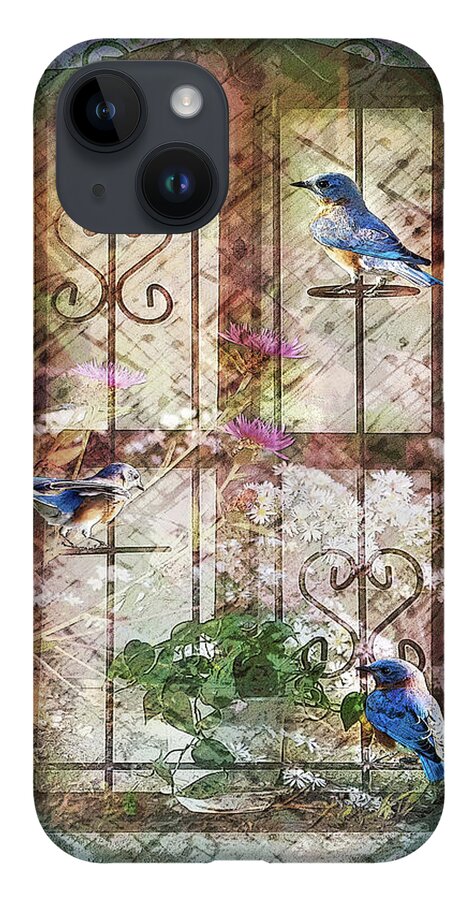 Photography iPhone 14 Case featuring the photograph Birds in the Kitchen by Shara Abel
