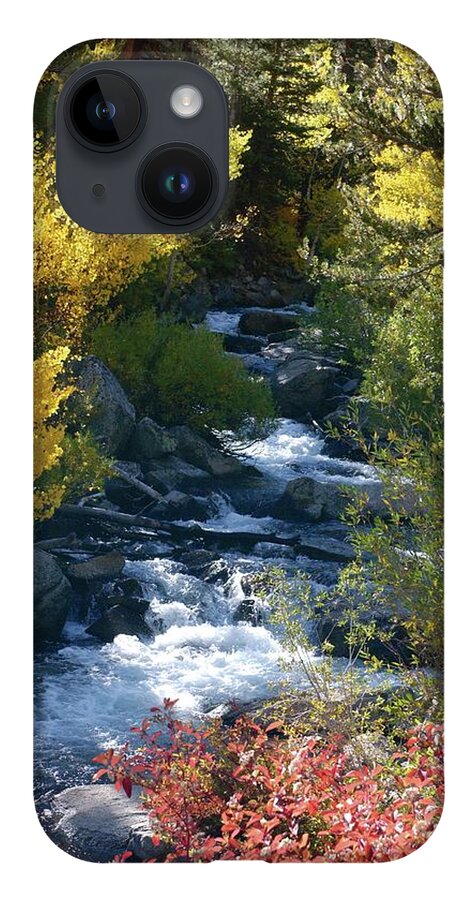 Bishop Creek iPhone 14 Case featuring the photograph Fall Color and Sun Rays on Bishop Creek by Bonnie Colgan