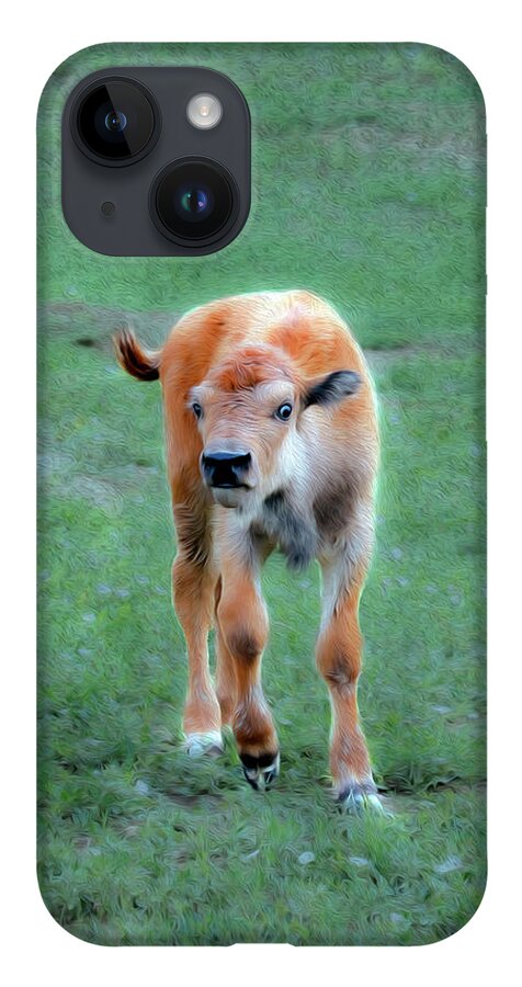 Bison iPhone 14 Case featuring the photograph Bison 1B by Sally Fuller