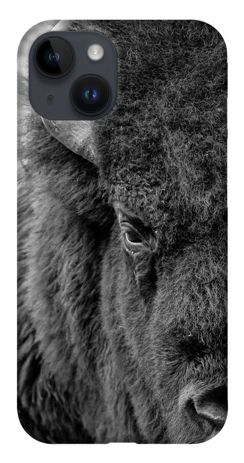 Bison iPhone 14 Case featuring the photograph Bison by Holly Ross