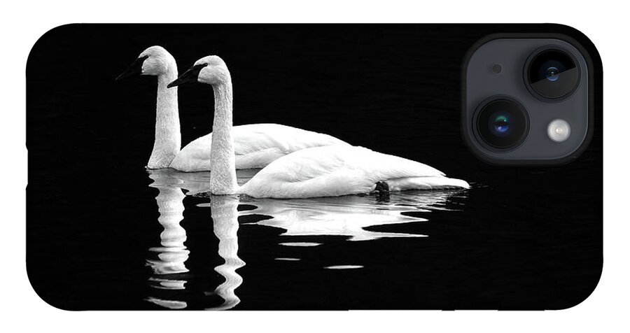 Swan iPhone 14 Case featuring the photograph Black and White Beauty by Jerry Cahill