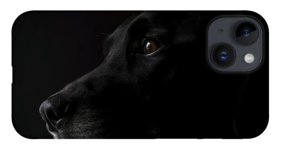 Black Lab iPhone 14 Case featuring the photograph Black Lab by Holly Ross