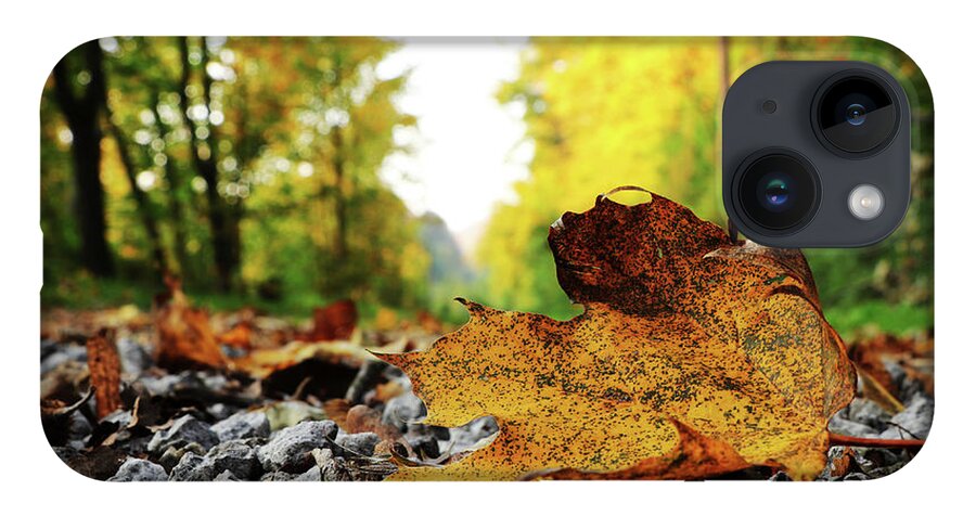 Acer iPhone 14 Case featuring the photograph Black spotted yellow marple leaf on gravel road which surrounded forest, which playing many colors. Pinch of autumn in semptember by Vaclav Sonnek