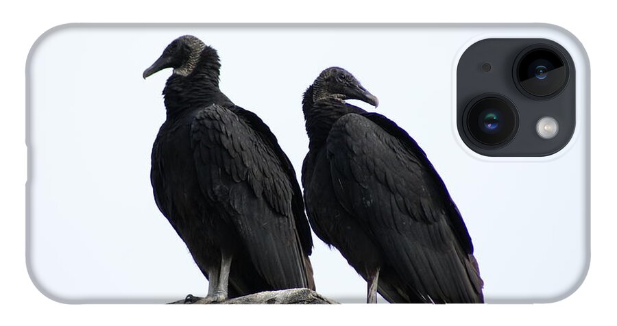  iPhone 14 Case featuring the photograph Black Vultures by Heather E Harman