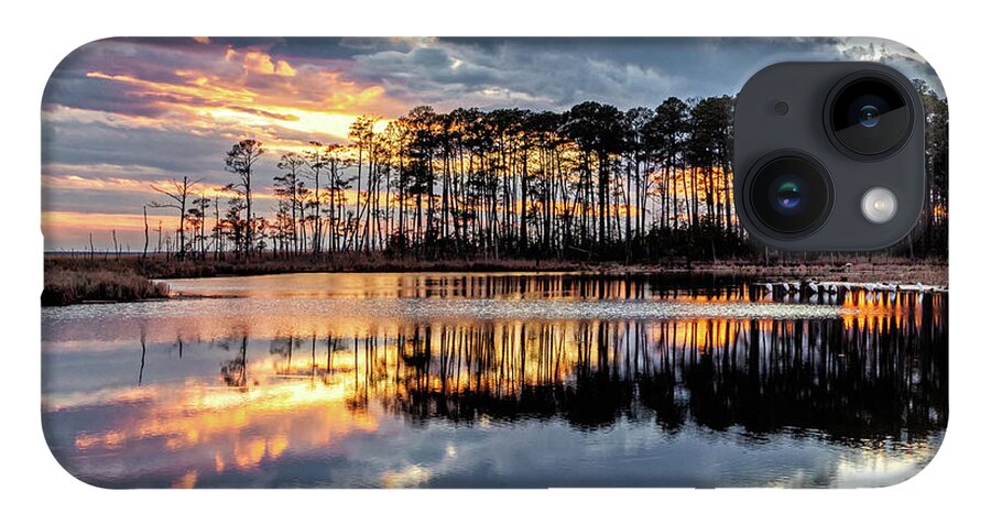 Trees iPhone 14 Case featuring the photograph Blackwater Tranquility by C Renee Martin